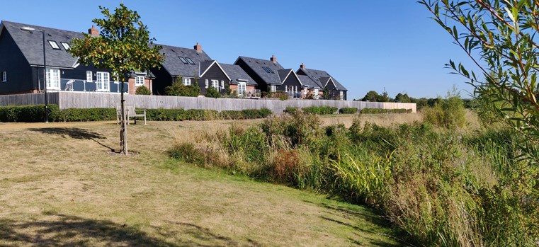 Houses overlooking grassy basin