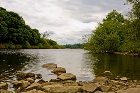 Stepping stones into lake surrounded by trees