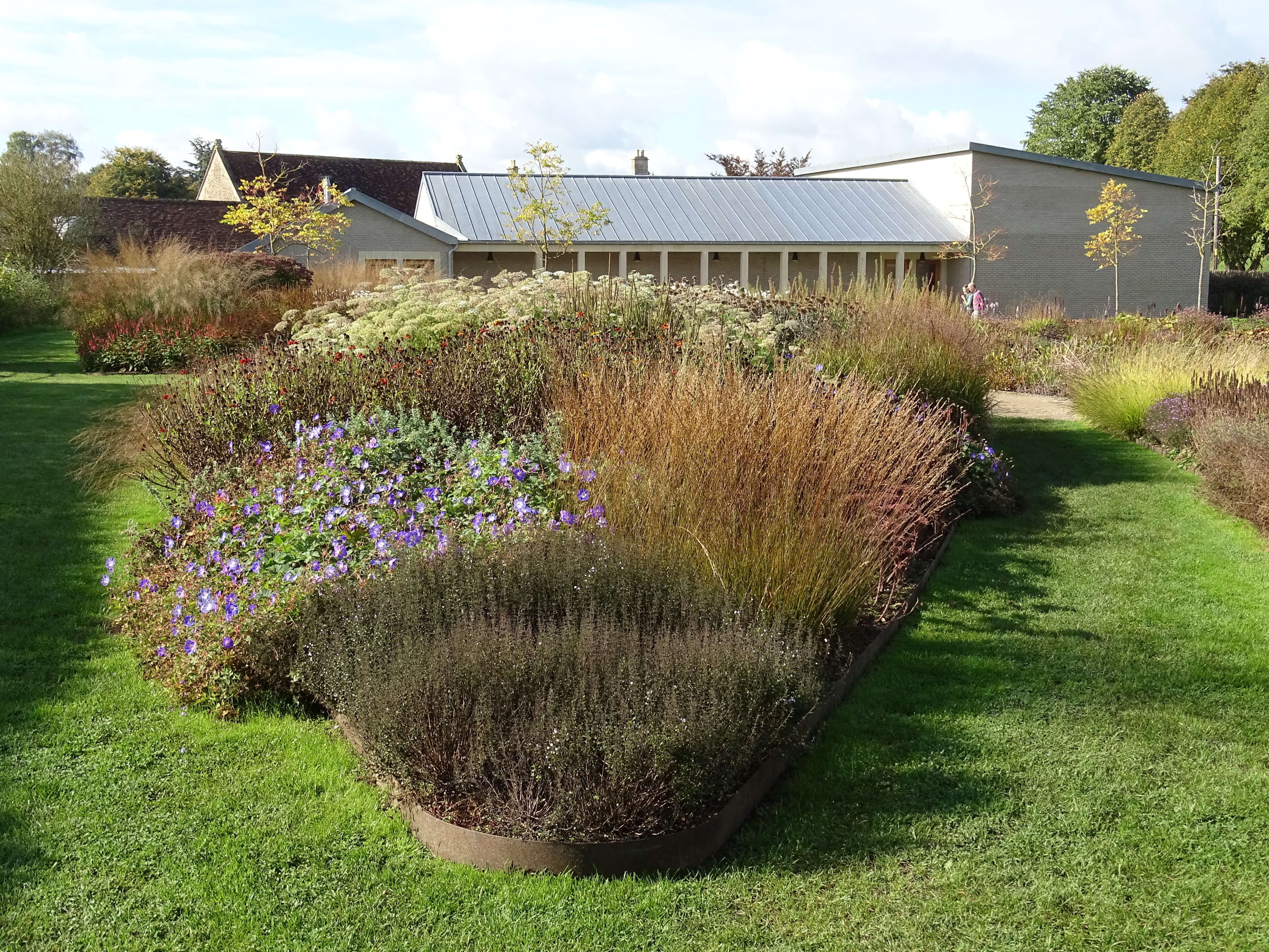 SuDS basin feature with ornamental grasses