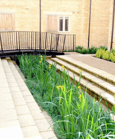 Stone steps down to a channel planted with reeds and yellow flowers. Bridge over the channel. 