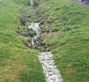 Grassy swale next to road with cobbled channel