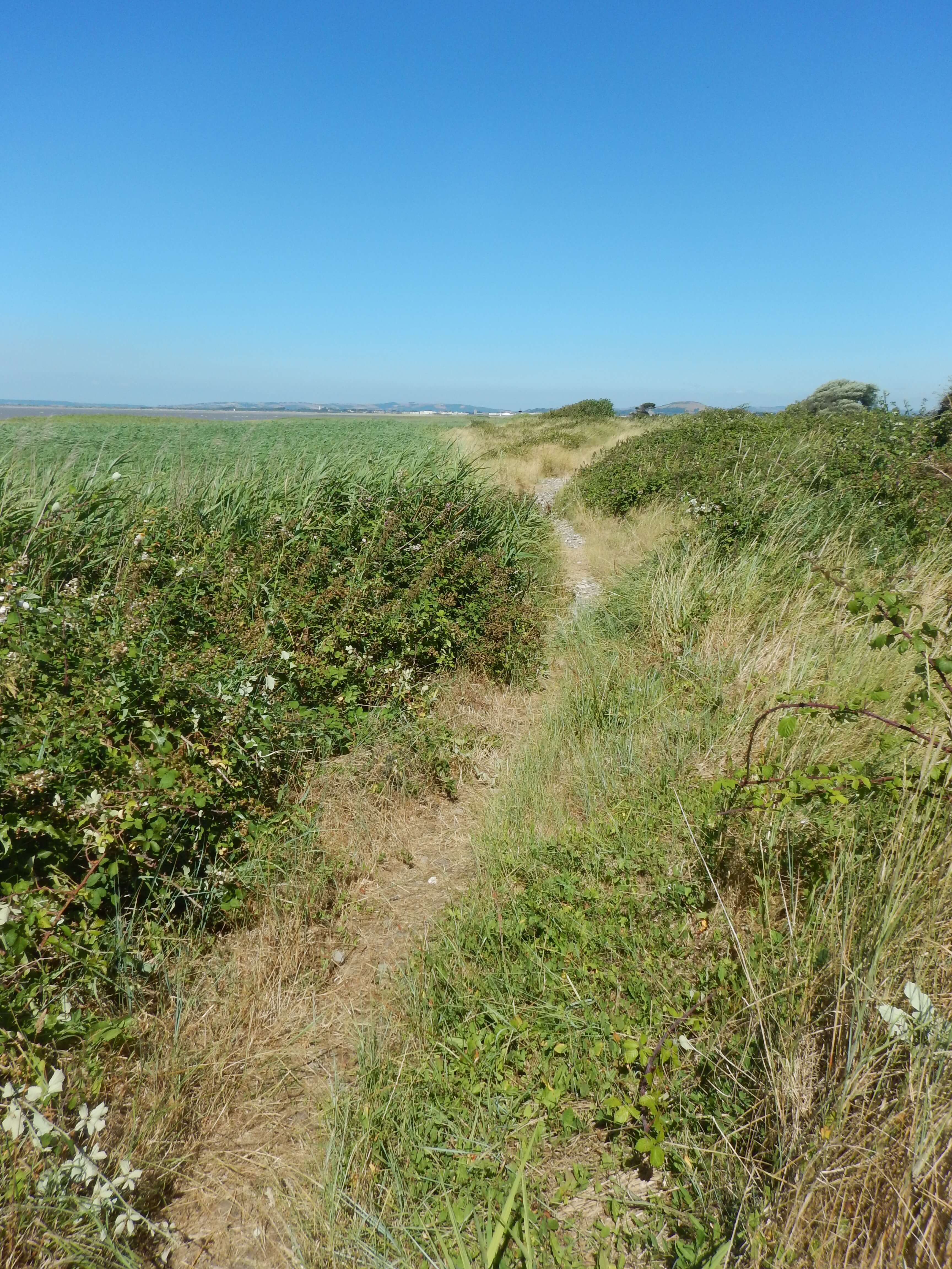 Footpath along a grassy field, with blue skies in the background