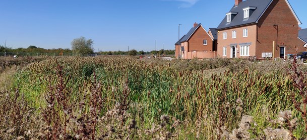 Houses overlooking a large grassy basin