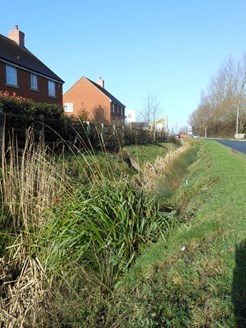 Grassy swale between flat road and houses